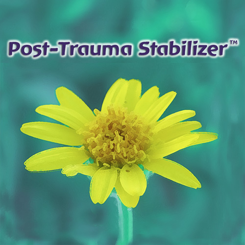 Post-Trauma Stabilizer